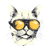 Cool cat with sunglasses