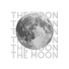 The moon