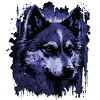 Chien Husky
