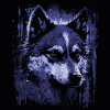 Husky Dog
