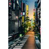 Tokio-Landschaft