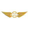 Drone Pilot Badge Quadcopter