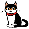 Niedliche Katze