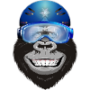 Gorilla with goggles and helmet
