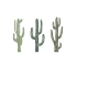 Funny Saguaro Cactus Lover Gift