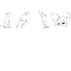 A Cat Two Three