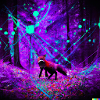 Psy Forest