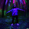 Deep Forest