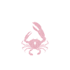Crab Lover Gifts