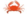 Crab Lover Gifts