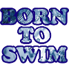 Triathlon Natation Bike Run Marathon