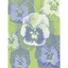 Pansies 1