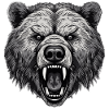 Bär