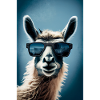 Alpaca Llama Animal