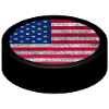 Team USA Hockey Puck
