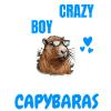 Capybara Crazy Boy Cadeau Capybara
