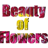 Beauty of Flowers