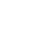 Skeleton skull
