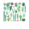 Cactus Gardener Cactus Plant