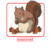 Süßes Eichhörnchen Hörnchen Grauhörnchen Geschenk