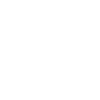Moon flowers (white)