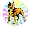 Pitbull Retro