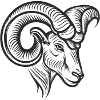 Ram's head