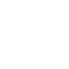 Pigeon in flight with wings