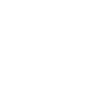 Minimalist poppies