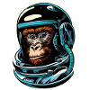Singe de l’espace