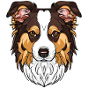 I Love My Border Collie