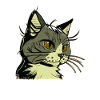 Cat in comic style