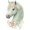 Horse Mystic