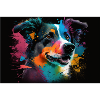 Hund Illustration farbig
