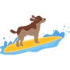dog surfing