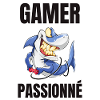 gamer passionné