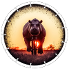 Un hippopotame à vélo