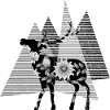 Hirsch