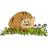 cat