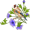 Bunter Vogel