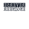Reverse Engineer Softwareingenieur Developer