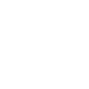 Reverse Engineer Softwareingenieur Developer