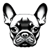 French Bulldog Dog Dog Owner