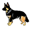 Berger allemand Propriétaire de chiot