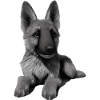 Berger allemand Propriétaire de chiot