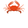 Crab Lover Gifts