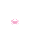 Crab Lover Gifts