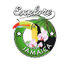 Explorez la Jamaïque