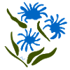 Blue flowers, Matisse inspired