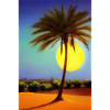 Arabian Desert